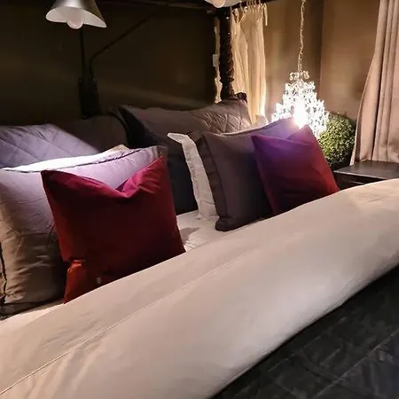 Hoy Standard. Mye For Pengene. Gratis Velkomstgave Νάρβικ