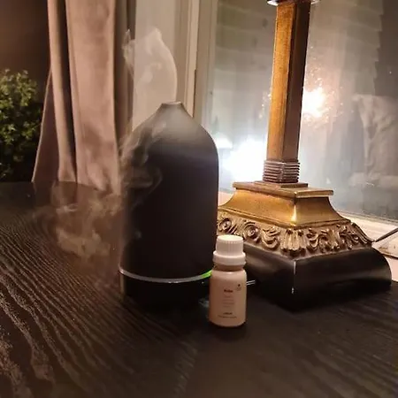 Hoy Standard. Mye For Pengene. Gratis Velkomstgave 아파트 *