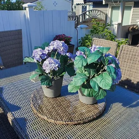 公寓 Hoy Standard. Mye For Pengene. Gratis Velkomstgave 纳尔维克