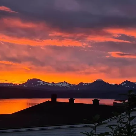 Hoy Standard. Mye For Pengene. Gratis Velkomstgave 纳尔维克