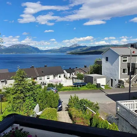 Hoy Standard. Mye For Pengene. Gratis Velkomstgave Νάρβικ