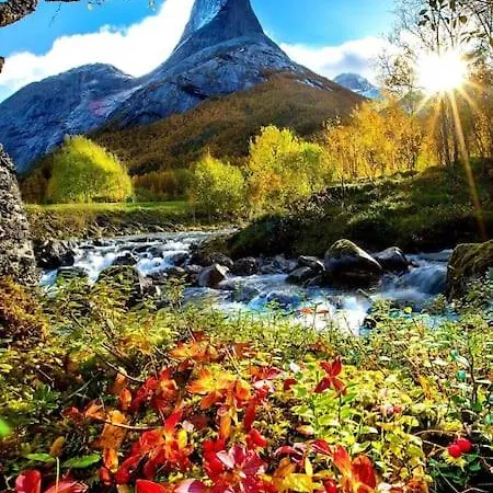 Hoy Standard. Mye For Pengene. Gratis Velkomstgave 公寓 纳尔维克