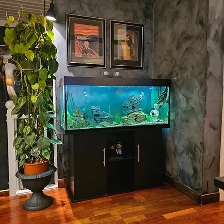 Hoy Standard. Mye For Pengene. Gratis Velkomstgave Διαμέρισμα