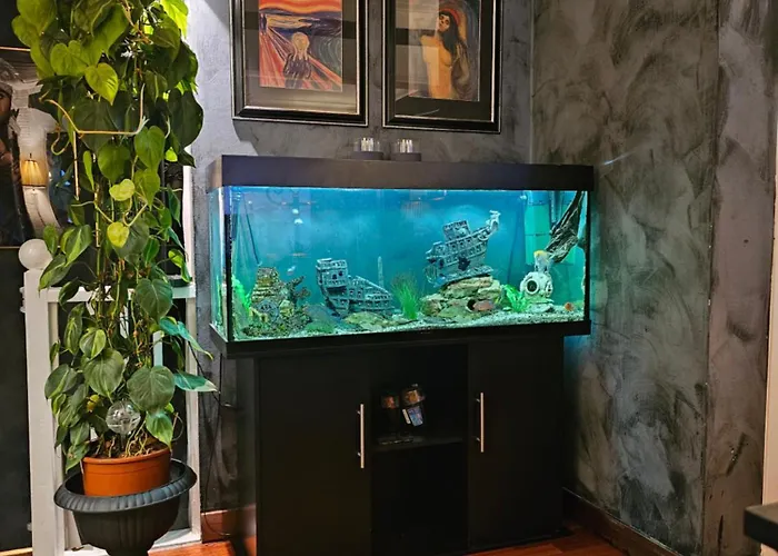 Hoy Standard. Mye For Pengene. Gratis Velkomstgave Apartman